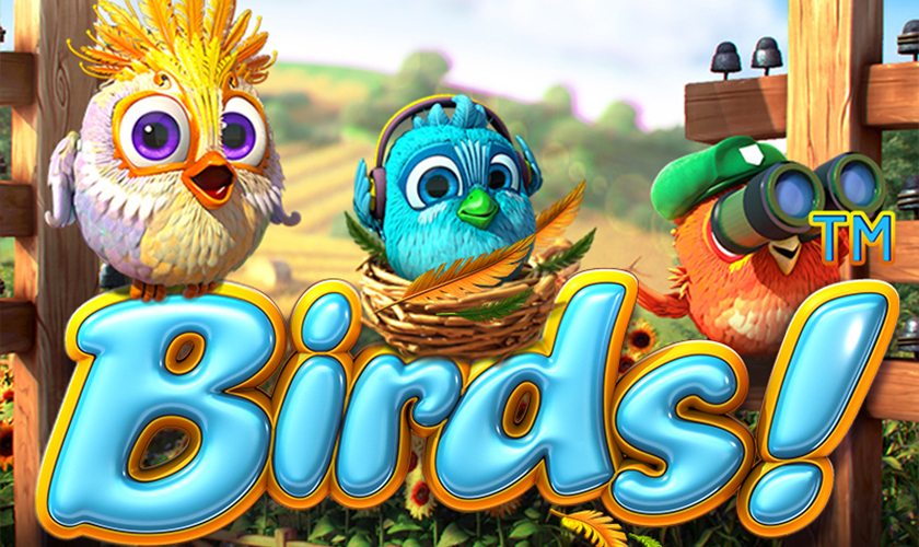 Birds