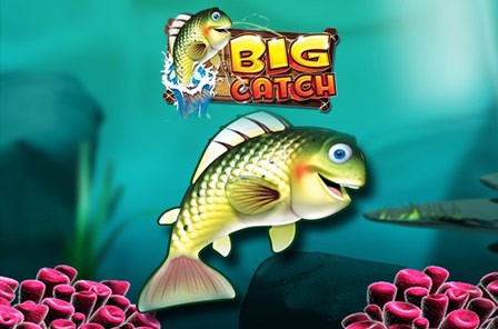 Big Catch™